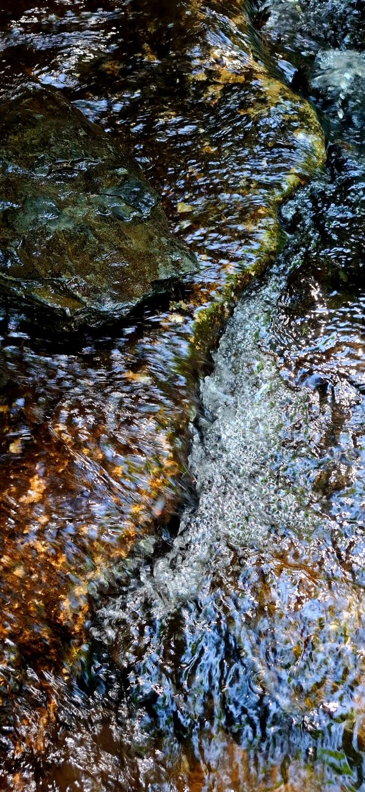 Eau vive sur les rochers