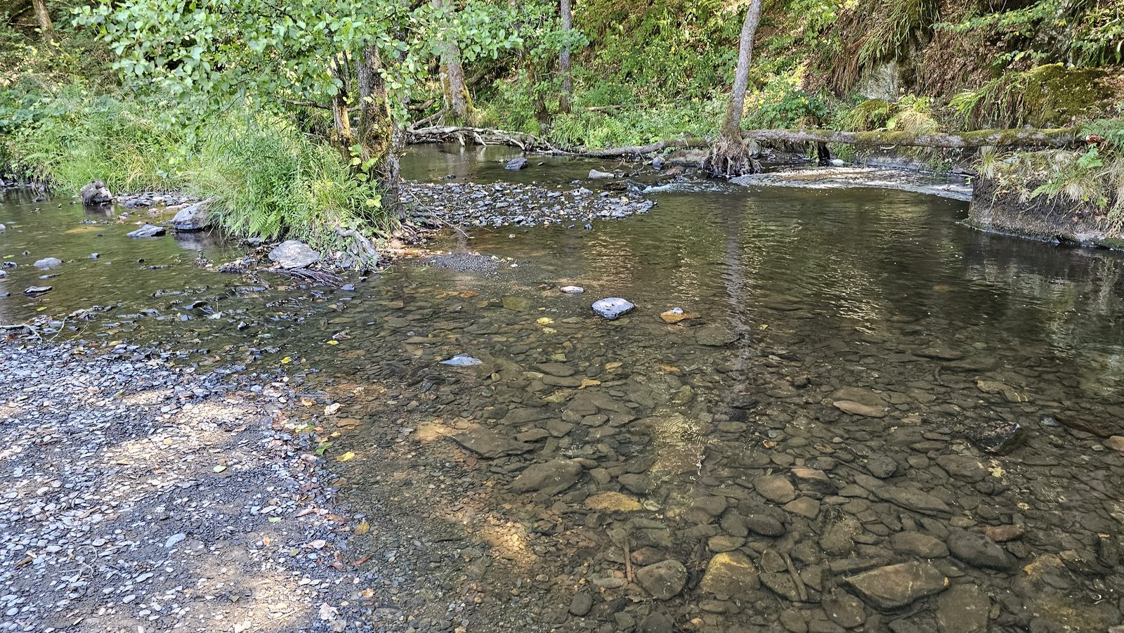 Lit de rivière aux galets clairs
